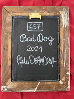 657-bad-dog-2024