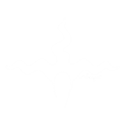 logo giacomo noya bianco