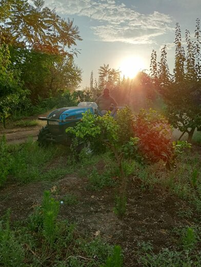 massimo agricolo.jpeg massimo agricolo.jpeg