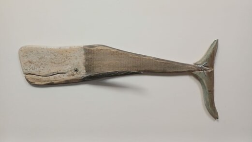 whatsapp image 2025-10-04 at 16.55.00.jpeg