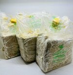 pani-funghi-cardoncelli-promo-per-3pz