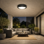 ceiling-light-1874pl