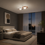 ceiling-light-3236pl-2