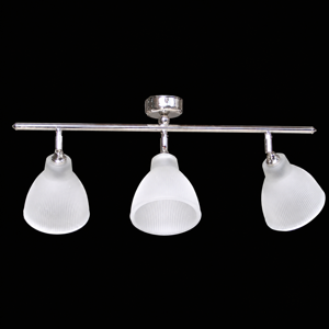 ceiling-light-1282p