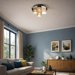 ceiling-light-2875pl