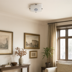 ceiling-light-2718