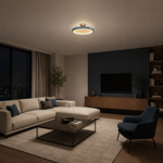 ceiling-light-3599