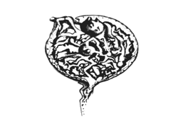 logo ripulito