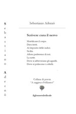 scrivere-cura-il-nervo-sebastiano-aderno