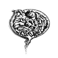 Capodanno ilglomerulodisale