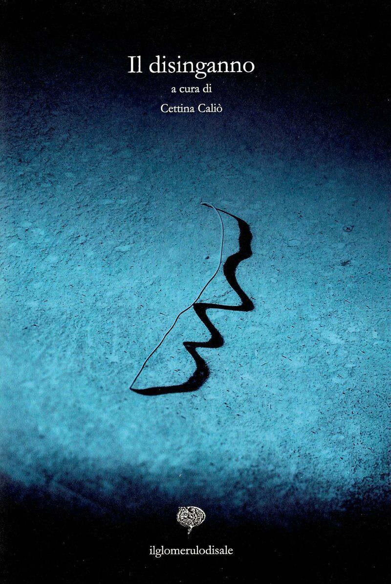 il disinganno cettina caliò