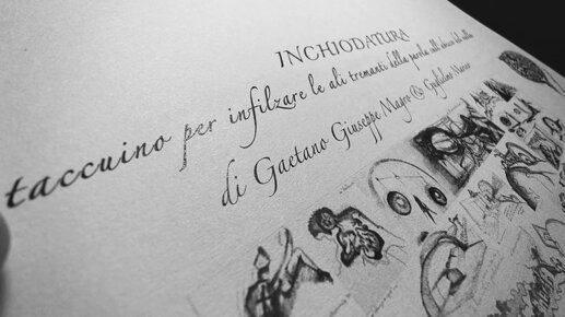 whatsapp image 2025-12-09 at 16.33.35.jpeg whatsapp image 2025-12-09 at 16.33.35.jpeg