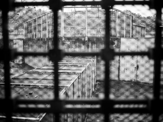 l1009202 copia.jpeg l1009202 copia.jpeg