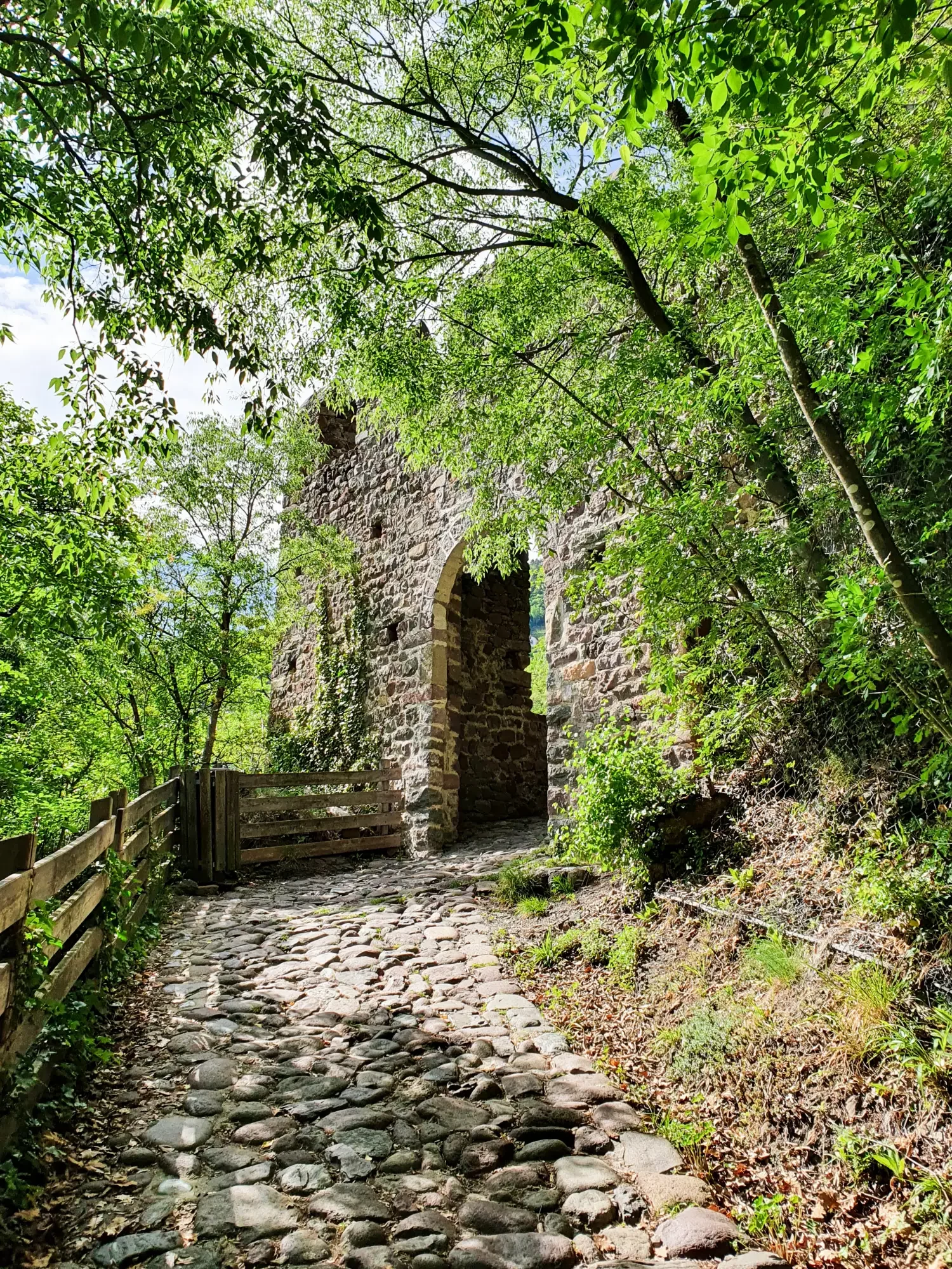 schloss-runkelstein-1.webp