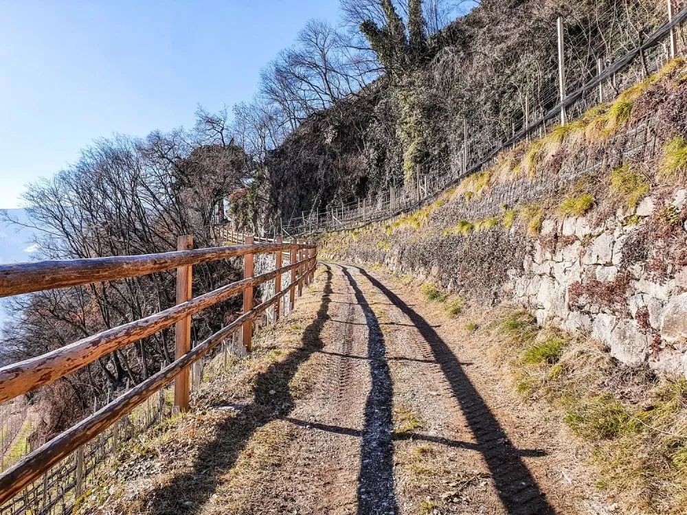 wanderung-schloss-goyen-1.webp