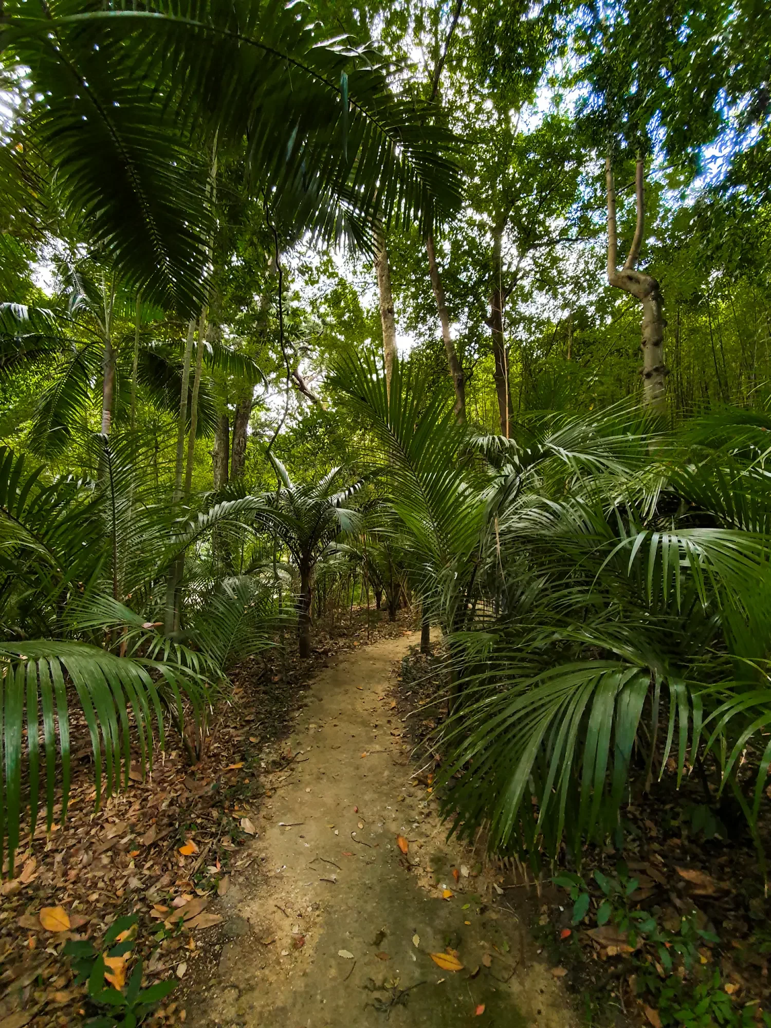 azoren_ponta-delgada_botanischer-garten-3.webp azoren_ponta-delgada_botanischer-garten-3.webp