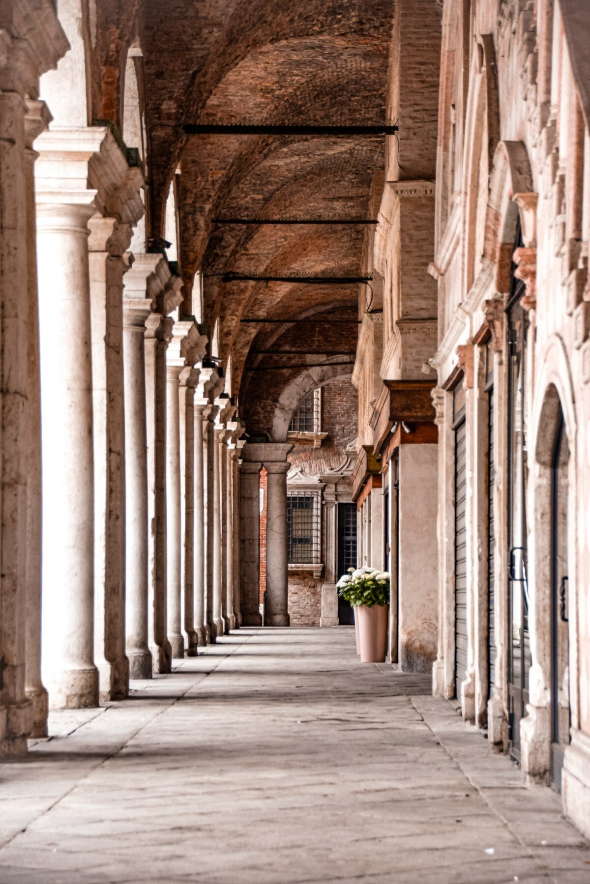 basilica-palladiana-vicenza_6.jpeg basilica-palladiana-vicenza_6.jpeg