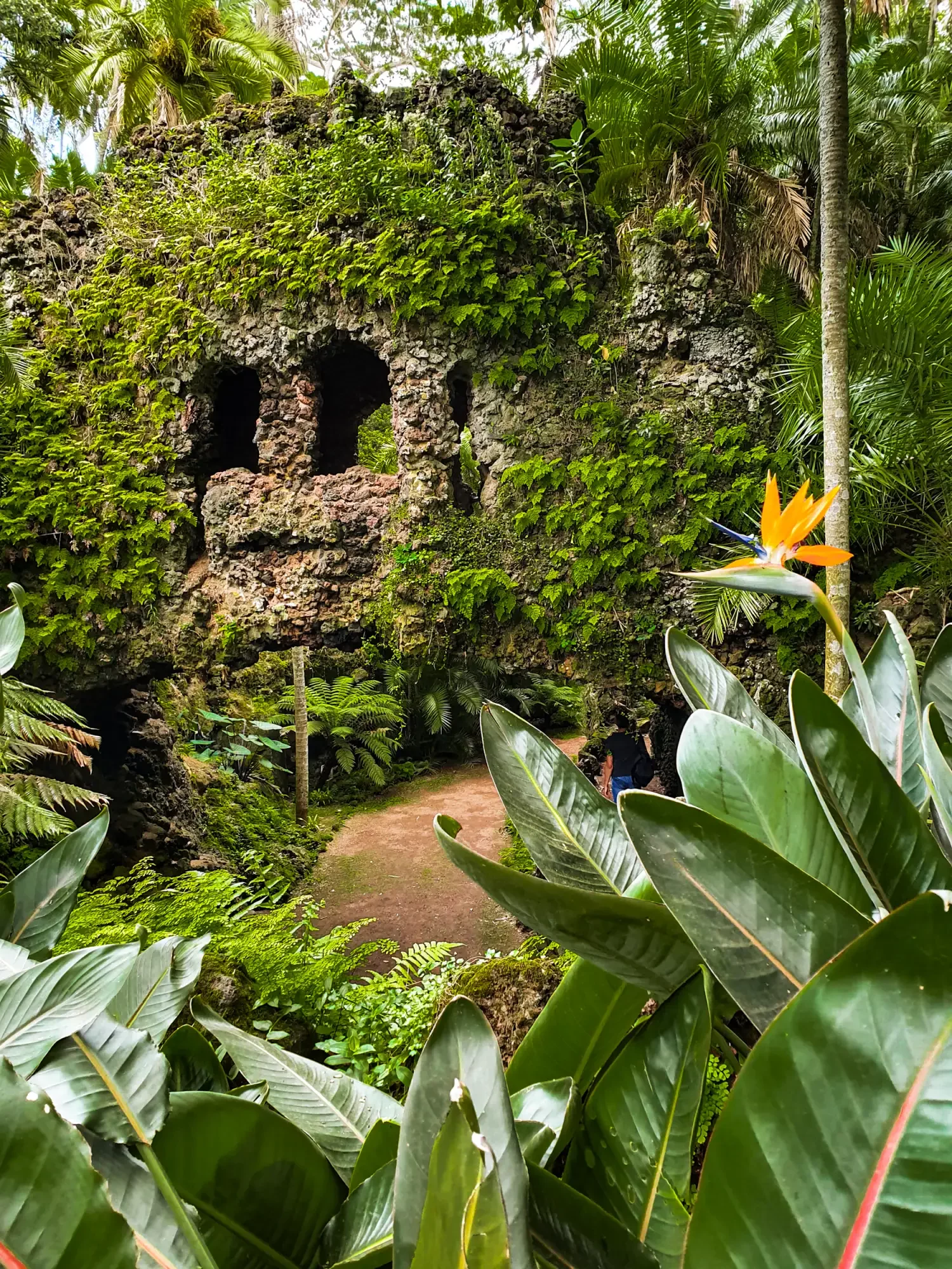 azoren_ponta-delgada_stadtpark-2.webp azoren_ponta-delgada_stadtpark-2.webp