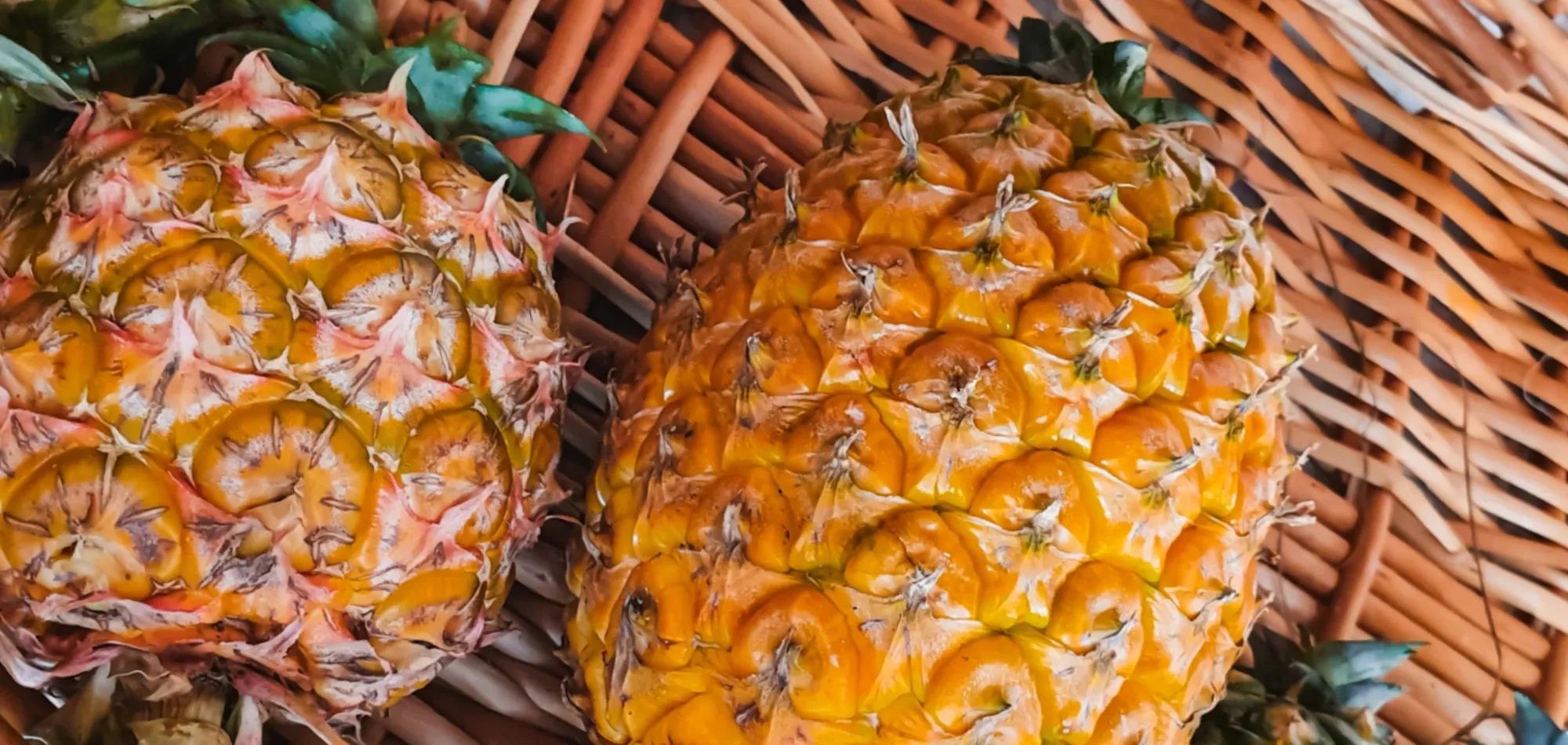 azoren_ananas.webp azoren_ananas.webp