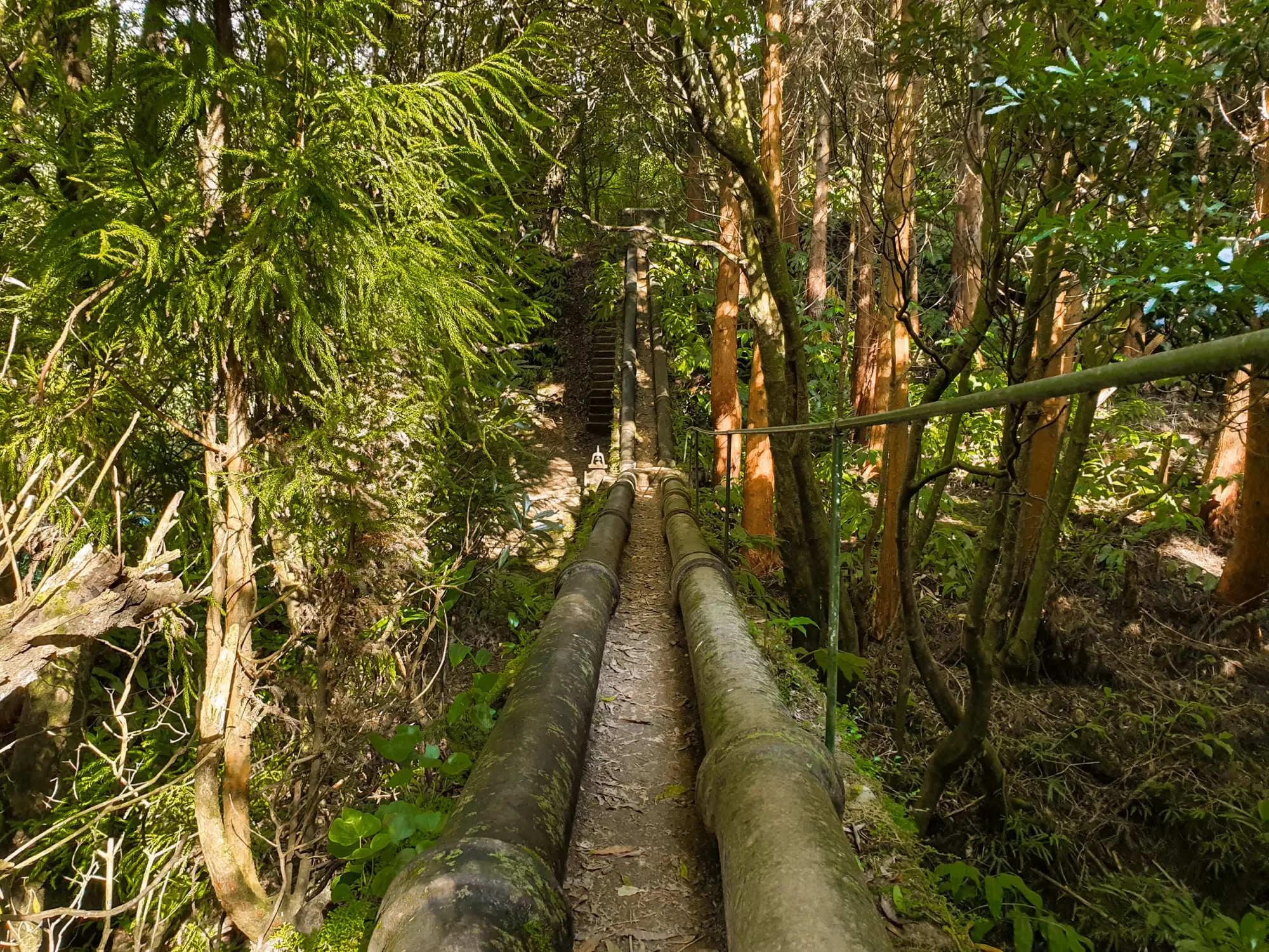 azoren_rota-do-agua-3.webp azoren_rota-do-agua-3.webp