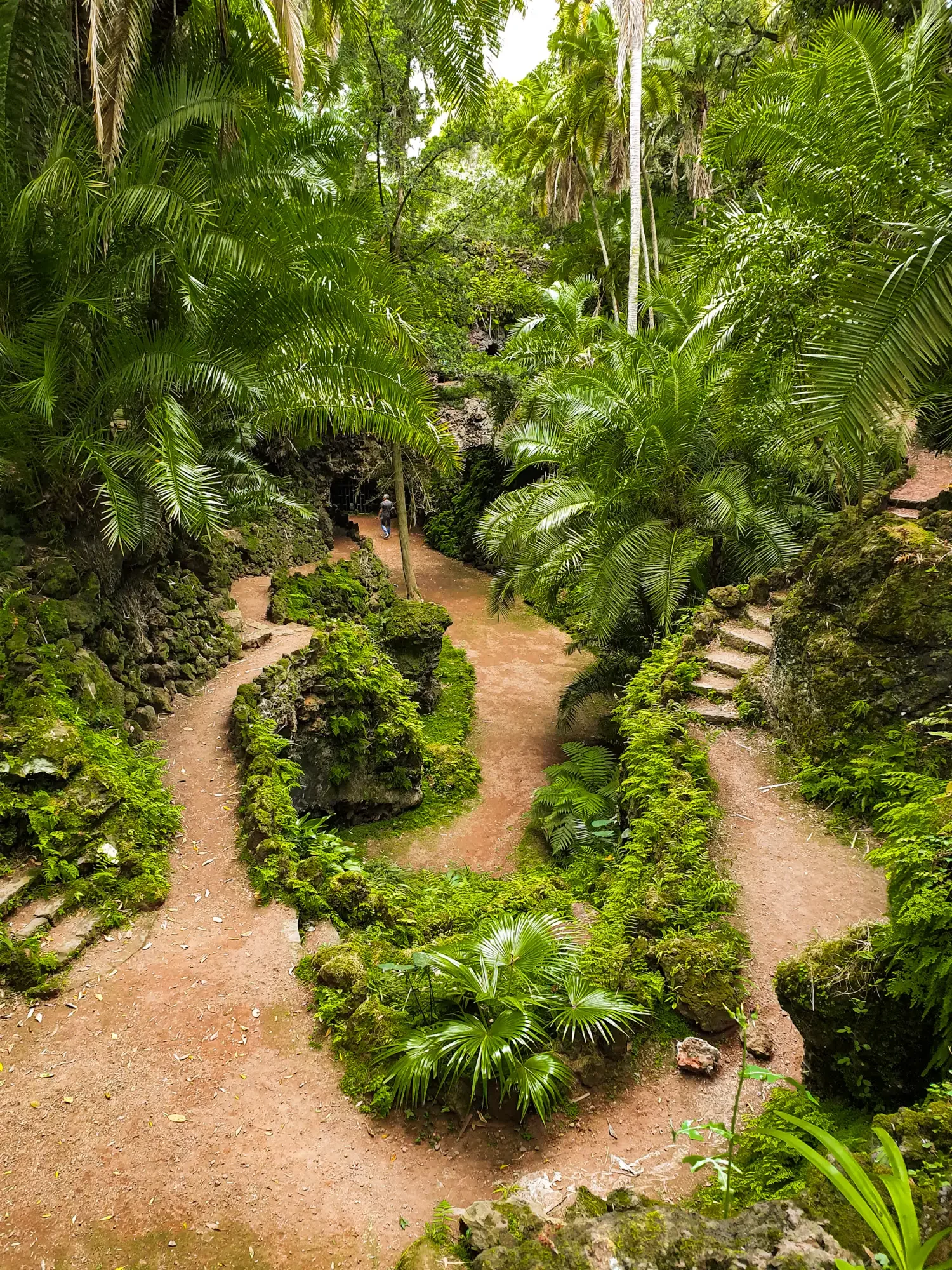 azoren_ponta-delgada_stadtpark-1.webp azoren_ponta-delgada_stadtpark-1.webp
