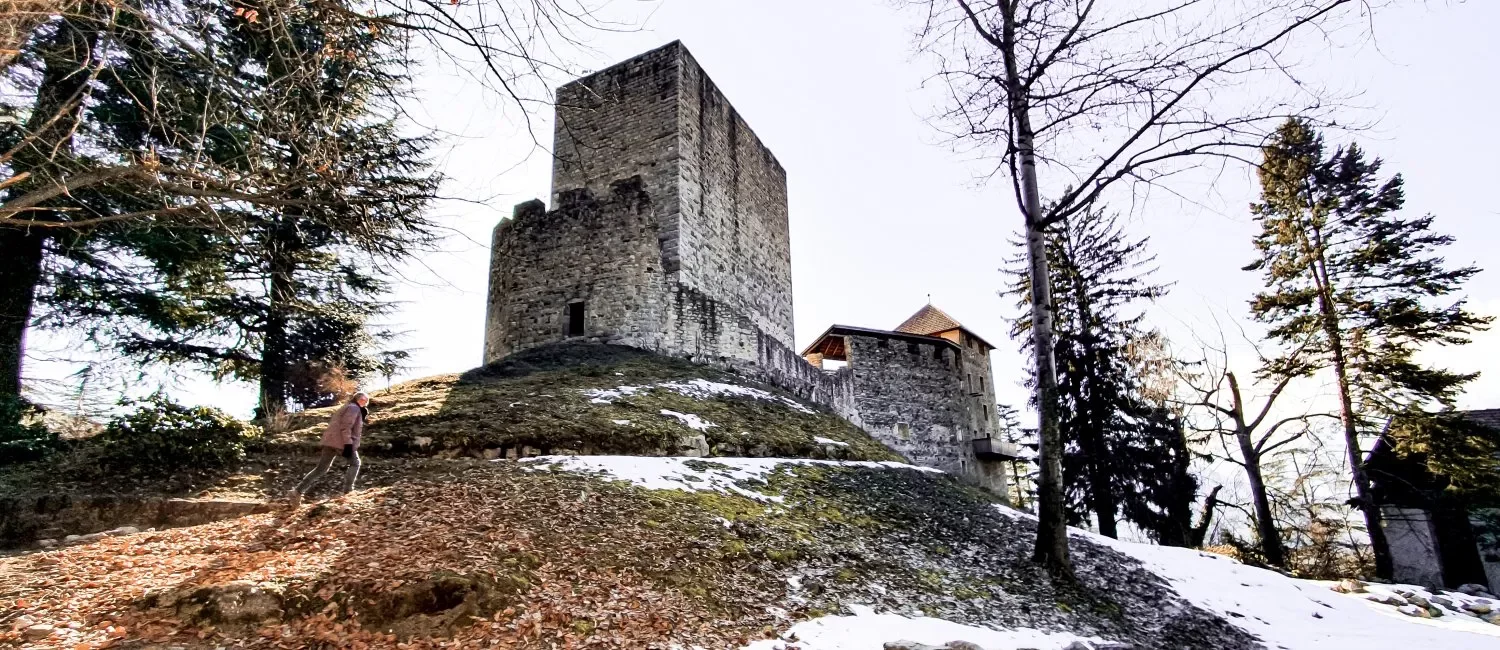 schloss-goyen_1500x650.webp