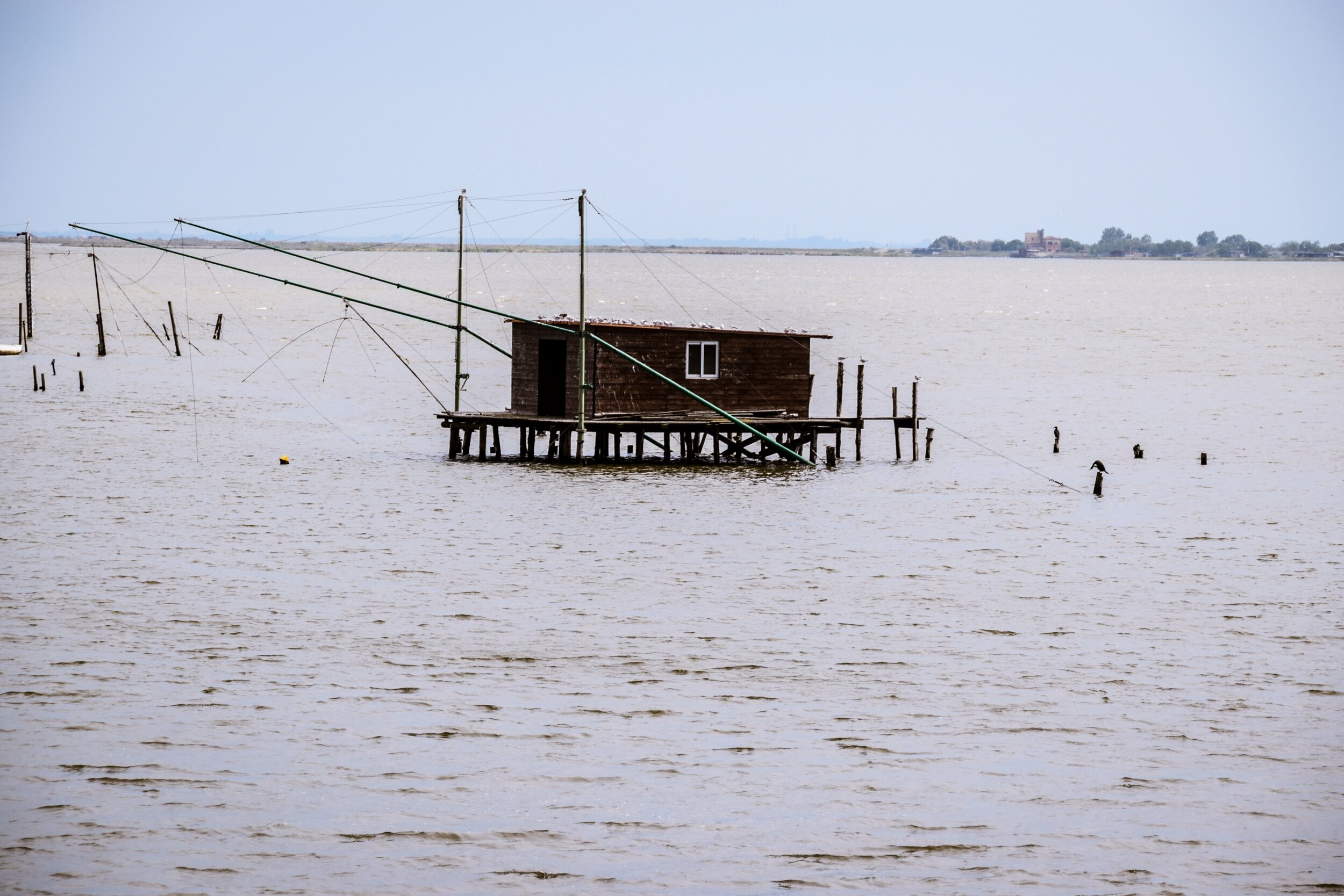 comacchio_parco-delta-po_3.jpeg