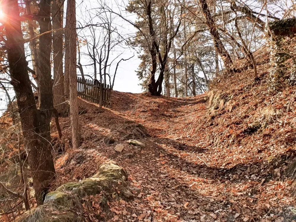 wanderung-schloss-goyen-4.webp