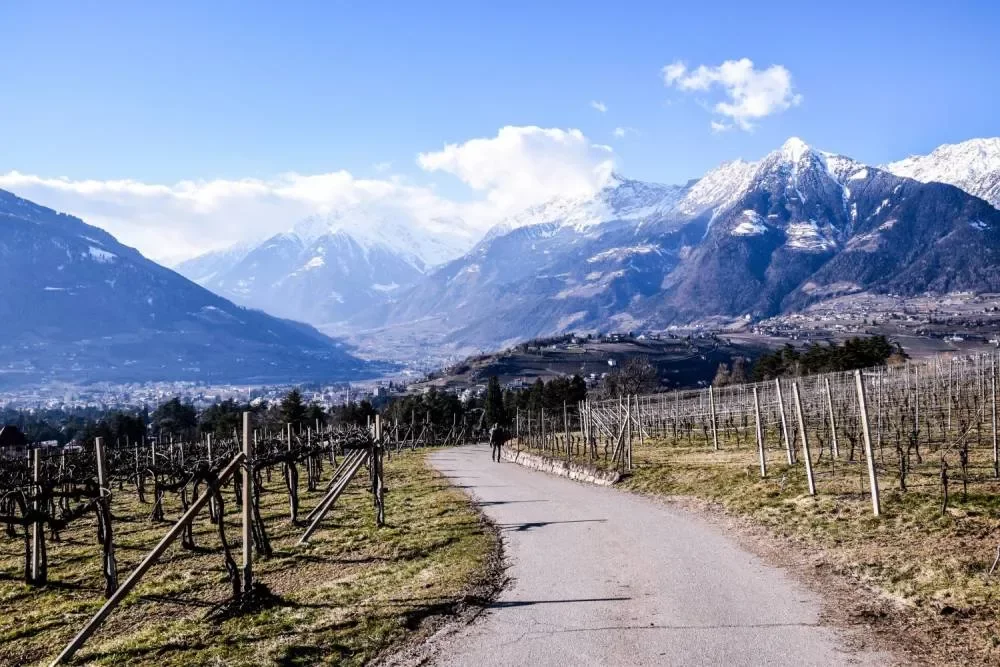wanderung-schloss-goyen-6.webp