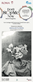 singular flowers