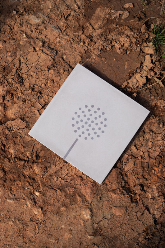 Erbaria collezione cementine piante estinzione design by errepiuesse