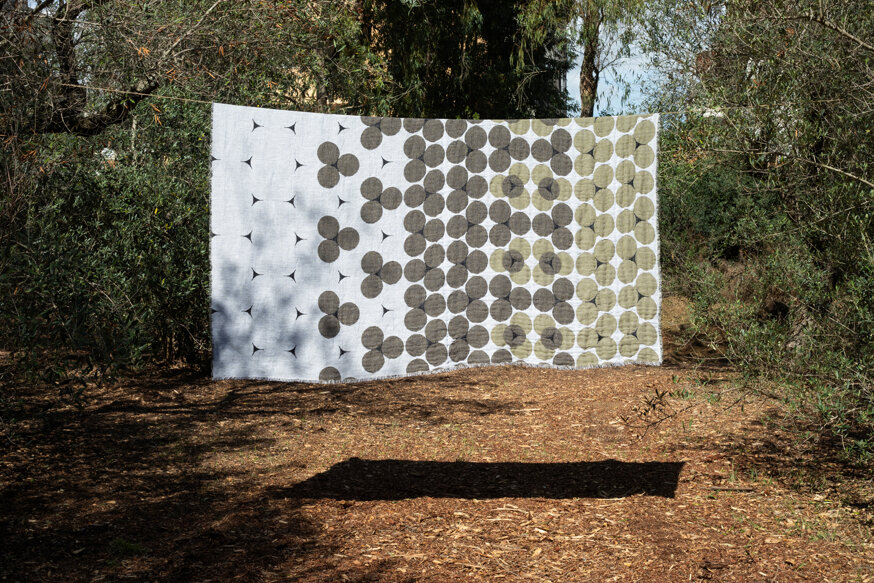 Tramemoria coperta racconto Xylella Salento design by errepiuesse