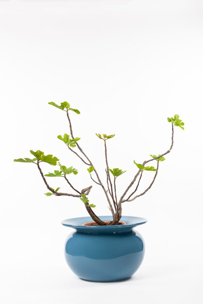 Vasa-bi Vaso in ceramica raccolta acqua piovana design by errepiuesse