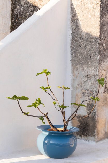 Vasa-bi Vaso in ceramica raccolta acqua piovana design by errepiuesse