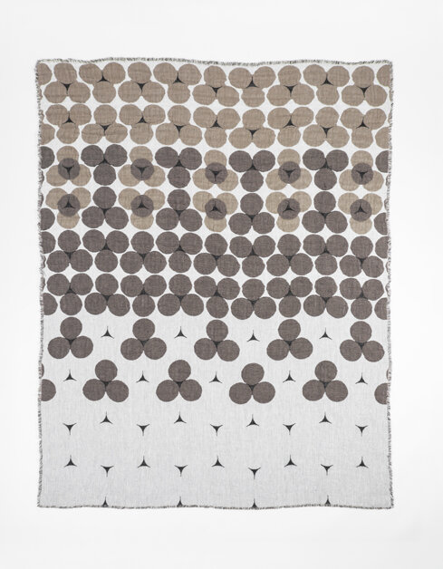 Tramemoria coperta racconto Xylella Salento design by errepiuesse