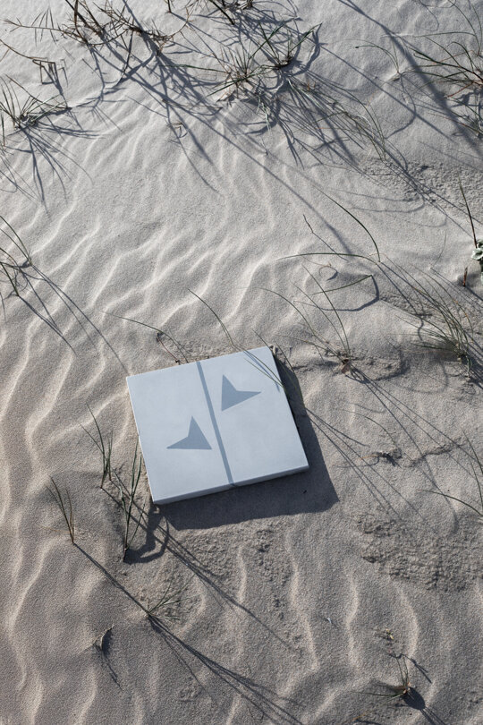 Erbaria collezione cementine piante estinzione design by errepiuesse