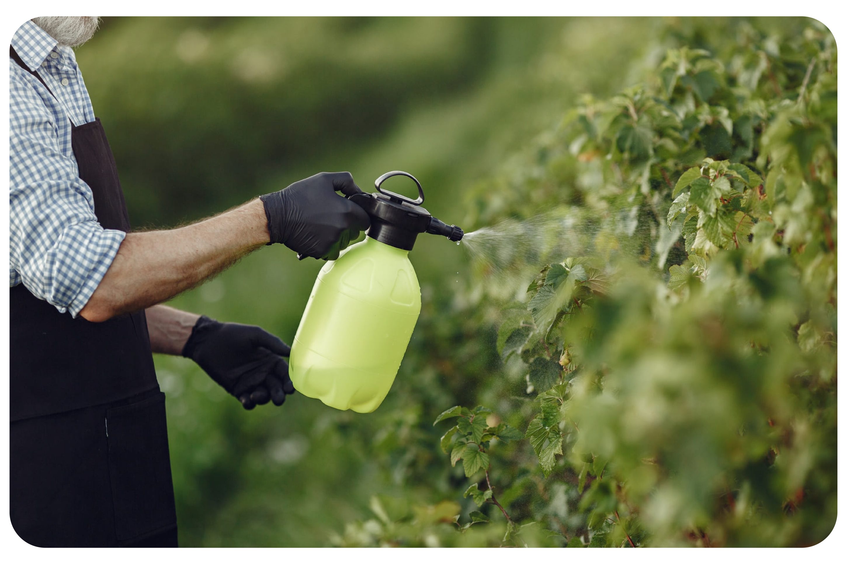 Aggiornamento per utilizzatori di prodotti fitosanitari