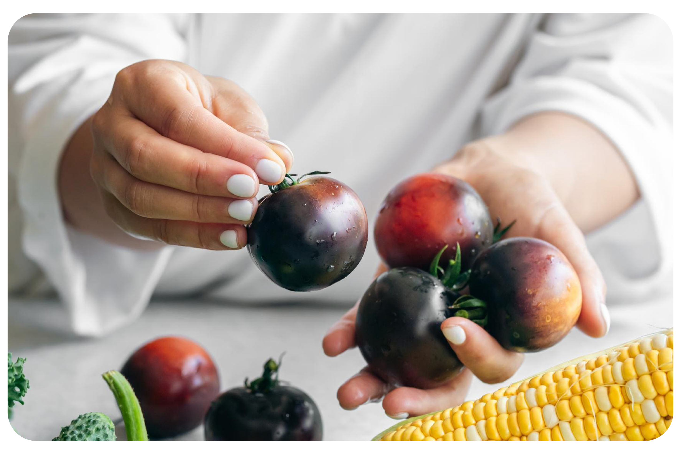 Formazione obbligatoria per operatore del settore alimentare (OSA), operatore del settore mangimistico (OSM), operatore economico (OE), responsabile dei piani di autocontrollo o preposti – Modulo C