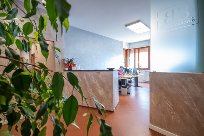 Ufficio di consulenze legali con reception moderna e pianta decorativa