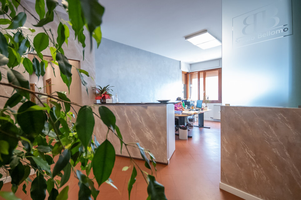 Interno dello Studio Bellomo con piante e scrivanie
