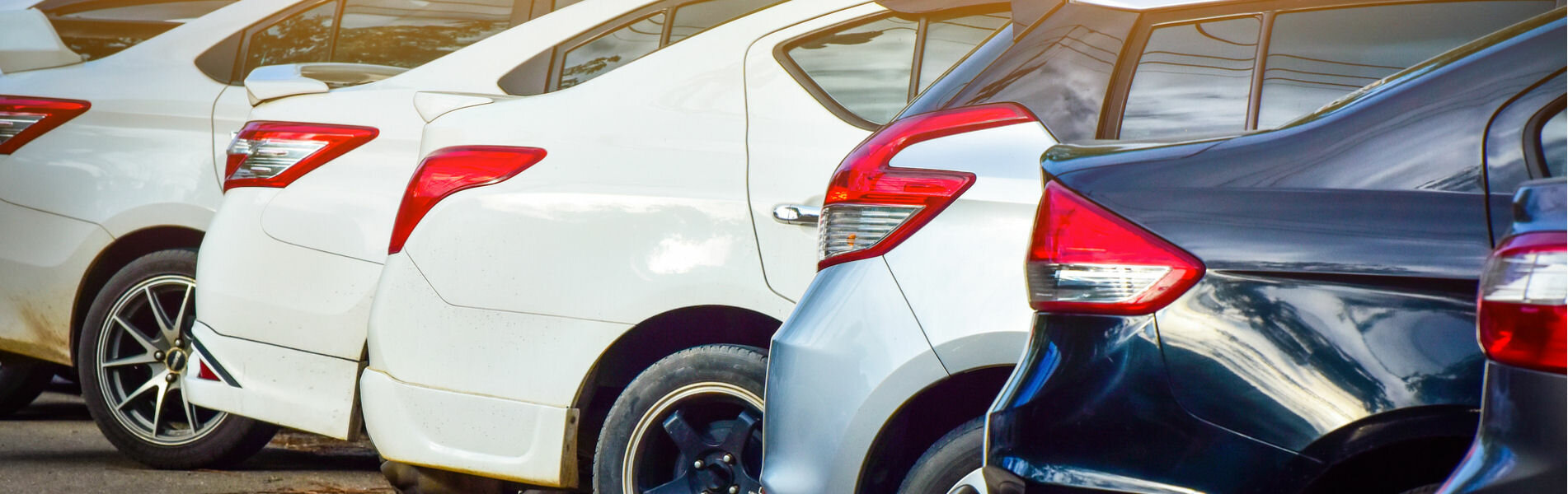 header vendita e noleggio.jpeg header vendita e noleggio.jpeg