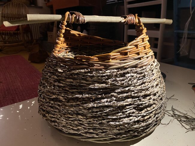 salice 2.jpeg salice 2.jpeg