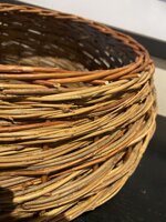 organico-senza-manico-2