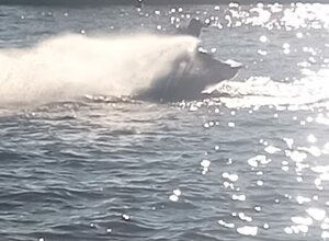 screenshot%202025-06-17%20164005