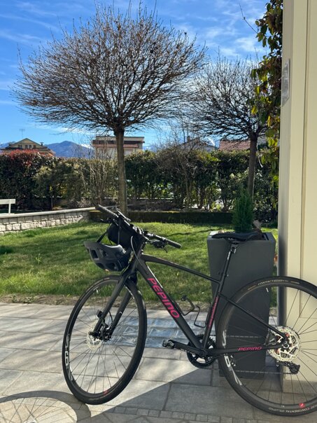 bike in the garden