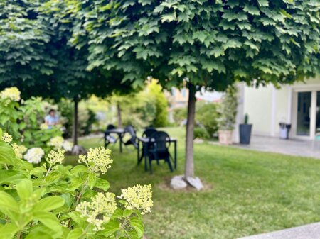 External view of the garden