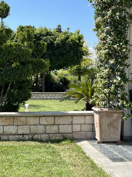 Detail of the garden