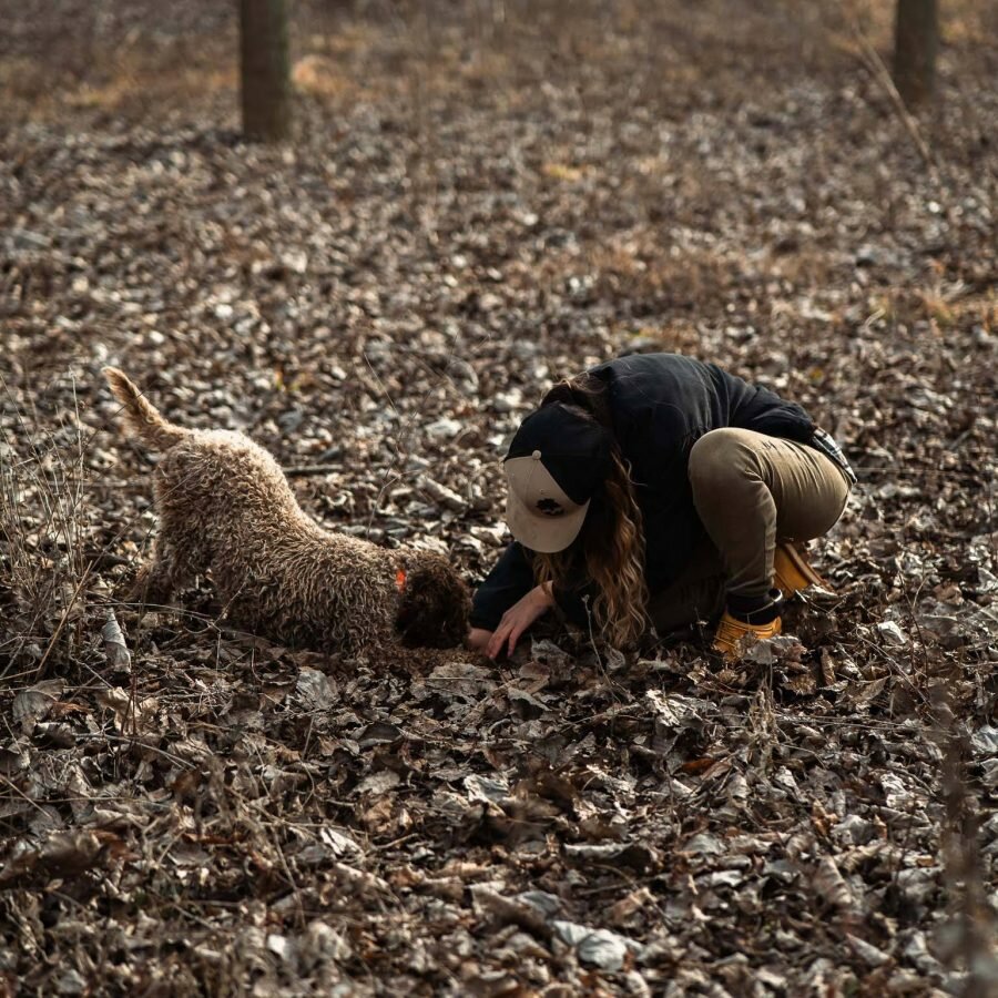 langhe_truffle_asia_bertello_ricerca_tartufo-900x900.jpeg