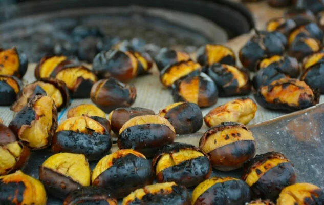 castagne.webp castagne.webp