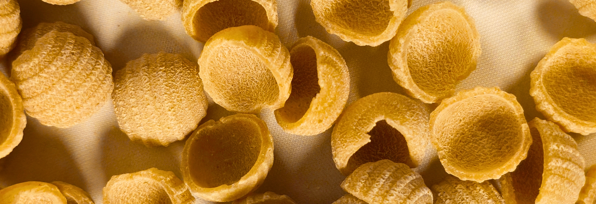 testata desktop sito damigella 1905 x 654 testata desktop sito damigella 1905 x 654